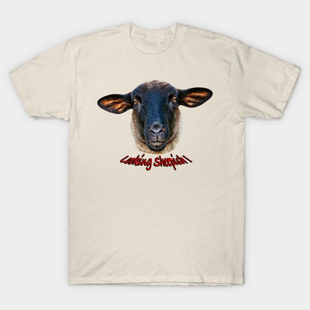 Looking Sheepish T-Shirt by dalyndigaital2@gmail.com